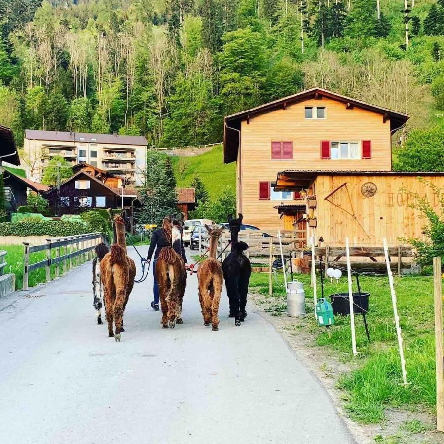 Hotel Jurte Beim Lama- & Alpakahof Triesenberg Zewnętrze zdjęcie