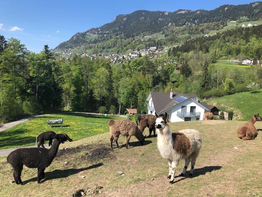 Hotel Jurte Beim Lama- & Alpakahof Triesenberg Zewnętrze zdjęcie